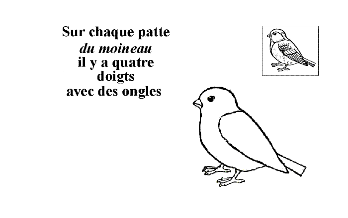 Modèle