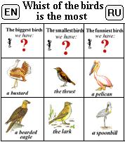 Whist of the birds is the most (N-RU)